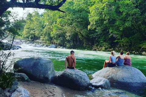 Afternoon Half-Day Daintree Rainforest And River Tour - Attractions 0