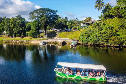 Afternoon Half-Day Daintree Rainforest And River Tour - Attractions 1