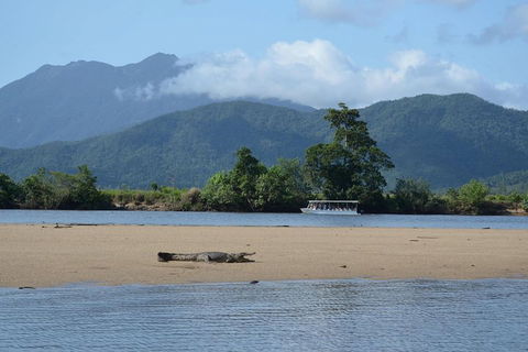 Afternoon Half-Day Daintree Rainforest And River Tour - Attractions 2