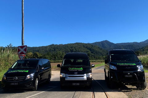 Afternoon Half-Day Daintree Rainforest And River Tour - Attractions 4