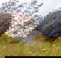 3-Day Cradle Mountain Photography Workshop - Attractions
