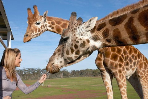 Melbourne City Card (2 Days): Visit Unlimited Attractions! - Attractions 1