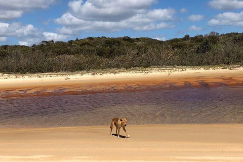 Pippies 3 Days 2 Nights Fraser Island Tour - Attractions 2