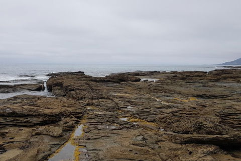 Luxury Private Great Ocean Road Tour Up To 11 People - Entire Vehicle - Attractions 1