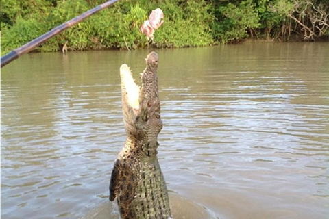 Litchfield National Park And Jumping Crocodile Cruise - Attractions 2