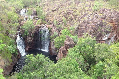 Litchfield National Park And Jumping Crocodile Cruise - Attractions 4