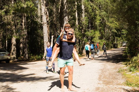7-Day Best Of Tasmania Adventure Experience From Hobart (flexible Ticket) - Attractions 5