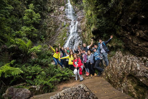 5-Day Lap Of Tasmania Tour From Hobart (flexible Ticket) - Attractions 0
