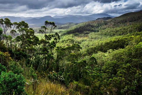 5-Day Lap Of Tasmania Tour From Hobart (flexible Ticket) - Attractions 2