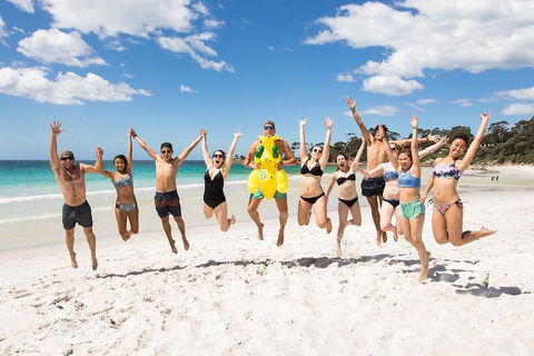 5-Day Lap Of Tasmania Tour From Hobart (flexible Ticket) - Attractions 4
