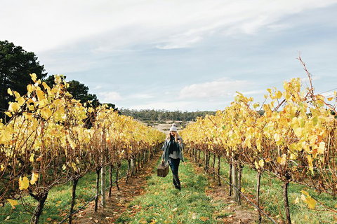 One-Way East Coaster - Attractions 1