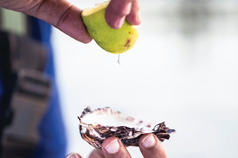 One-Way East Coaster - Attractions 3