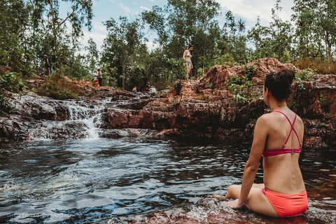 Litchfield National Park Day Tour From Darwin With Waterfalls And Buley Rockhole - Attractions 0