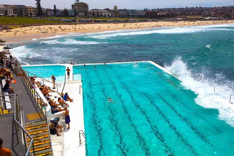 Private Sydney Half Day Tour Including Sydney Opera House And Bondi Beach - Attractions 1