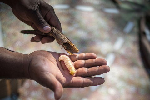 Karrke Aboriginal Cultural Experience - Attractions 3