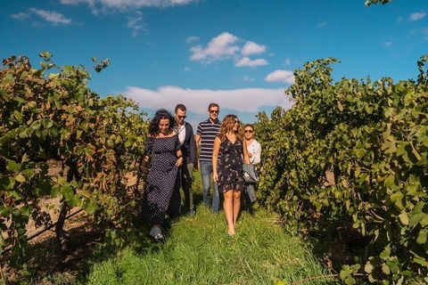 Barossa Valley Private Tour (from 2 To 11 People) - Attractions 0