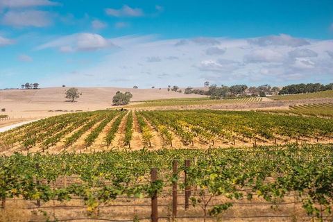 Barossa Valley Private Tour (from 2 To 11 People) - Attractions 2