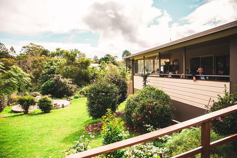 Full-day Springbrook National Park Tour From The Gold Coast - Attractions 2