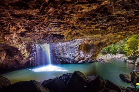 Full-day Springbrook National Park Tour From The Gold Coast - Attractions 3