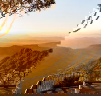 O'Reilly's  Lamington National Park incl. Alpaca Farm  Vineyard - Attractions