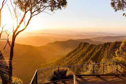 O'Reilly's & Lamington National Park Incl. Alpaca Farm + Vineyard - Attractions 0
