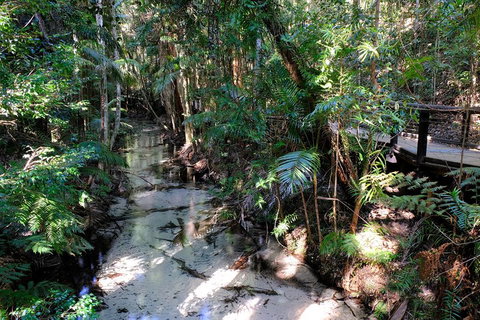 Fraser Island 4WD Tour From Rainbow Beach - Attractions 0