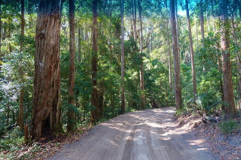 Fraser Island 4WD Tour From Rainbow Beach - Attractions 4