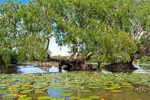 Ethical Adventures - Best In The WET - Litchfield / Kakadu 3 Day- Max 10 Guests - Attractions 1