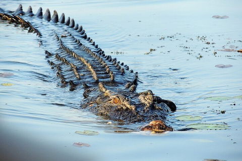 Ethical Adventures - Best In The WET - Litchfield / Kakadu 3 Day- Max 10 Guests - Attractions 4