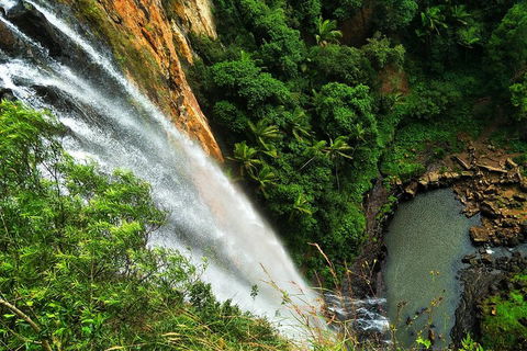 Rainforest & Waterfalls Extravaganza - Attractions 1