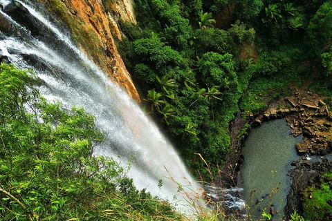 Natural Arch, Rainforest & Volcano Canyon - Private Half Day Tour - Attractions 5