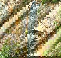 Private Tour - Rainforest  Waterfalls Extravaganza - Attractions
