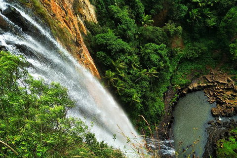 Private Tour - Rainforest & Waterfalls Extravaganza - Attractions 2