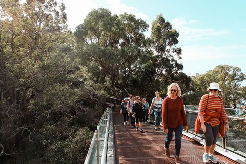 Highlights Of Kings Park - Attractions 3