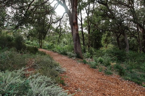 Highlights Of Kings Park - Attractions 5