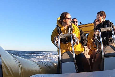 Noosa Oceanrider - Adventure Tour - Attractions 0