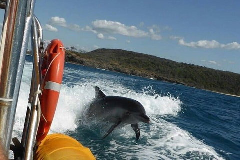 Noosa Oceanrider - Adventure Tour - Attractions 1