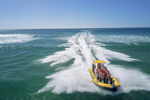 Noosa Oceanrider - Adventure Tour - Attractions 2