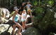 Byron Bay Hinterland Tour Including Rainforest Walk To Minyon Falls - thumb 3
