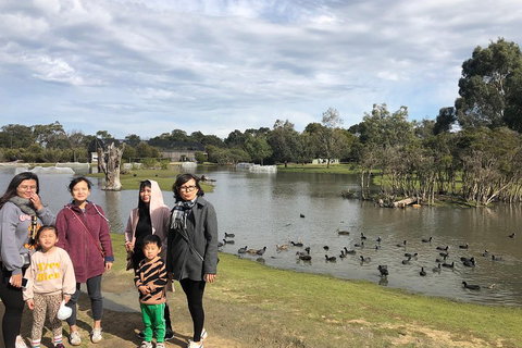 Phillip Island Penguins Private Tour - See Attractions 1