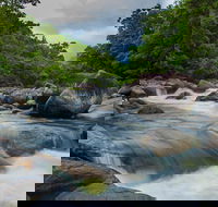 Cape Tribulation Day Tour - Attractions