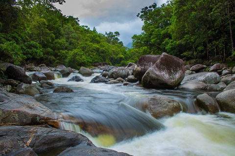 Cape Tribulation Day Tour - Attractions 0