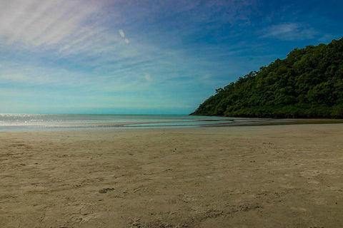 Cape Tribulation Day Tour - Attractions 2