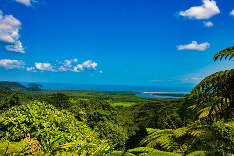 Cape Tribulation Day Tour - Attractions 3