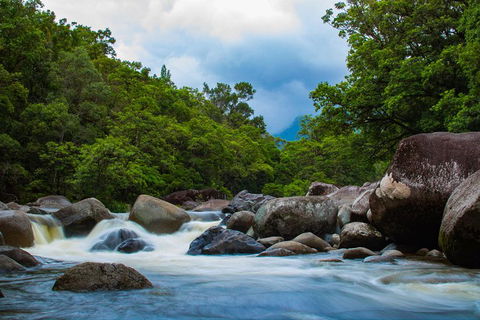 Cape Tribulation Day Tour - Attractions 4