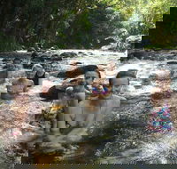 Daintree Rainforest Cape Tribulation Mossman Gorge Small-Group Day Tour - Attractions