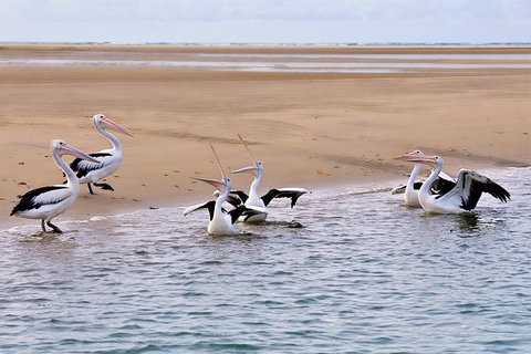 Town Of 1770 Afternoon Cruise - Attractions 4