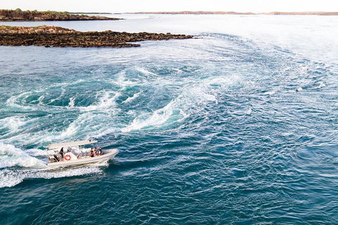 Giant Tides Tour - Cygnet Bay Pearl Farm - Attractions 4