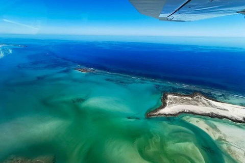 Wet Season Incredible Islands Tour - Horizontal Falls & Cygnet Bay Pearl Farm - Attractions 4