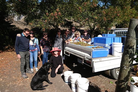 Valleys Of Vino Tour - Attractions 1